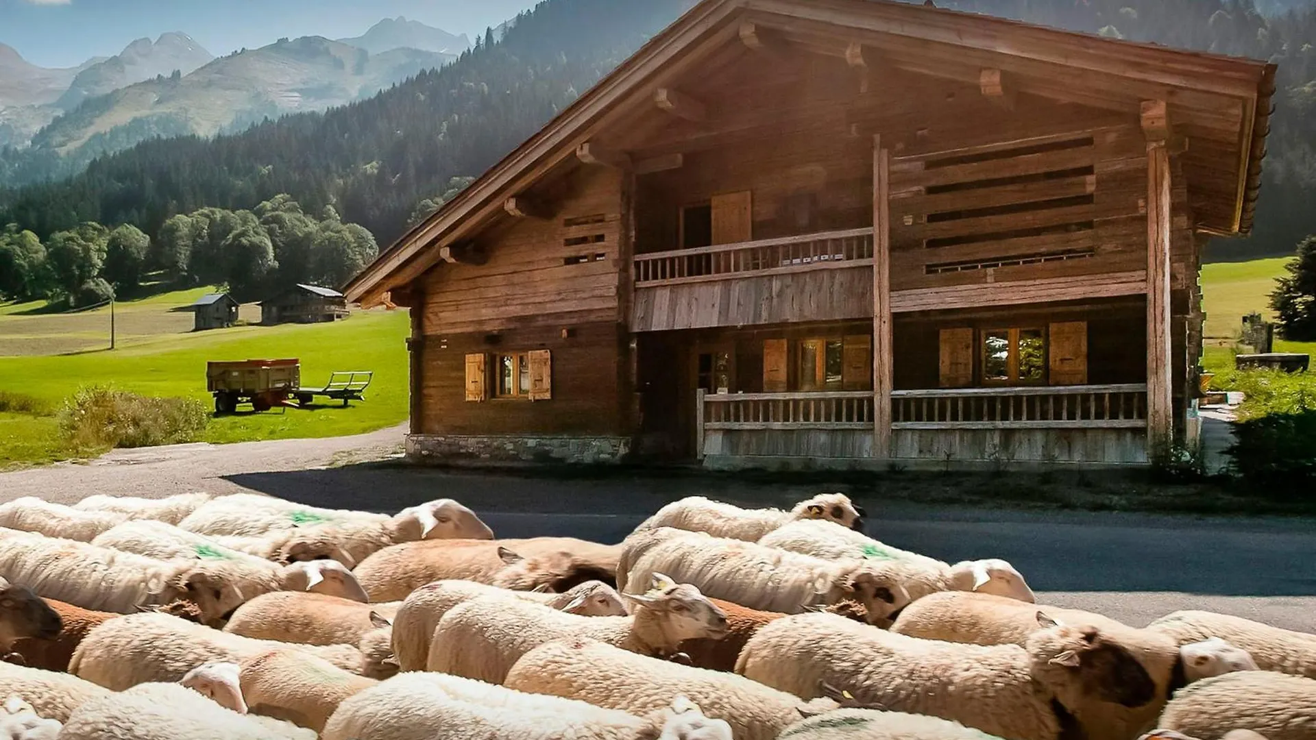 Chalet Patagonia - Ovo Network La Clusaz